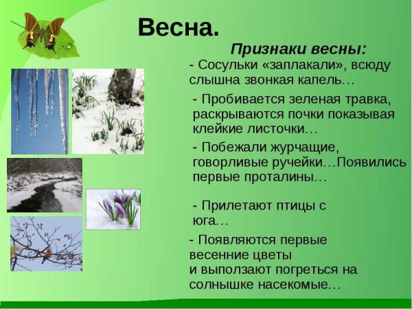 Весна весенние изменения в природе