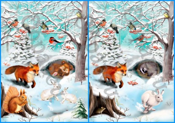 Лесные жители зимой