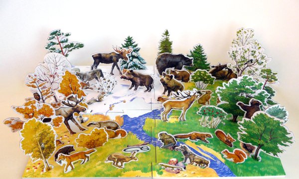 Панорама леса для детского сада