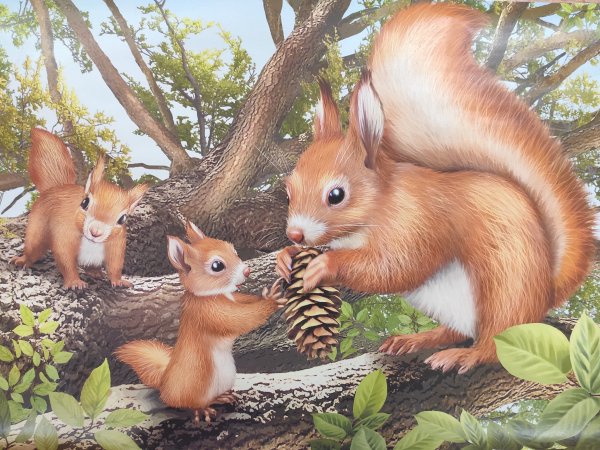 Рисование в старшей группе