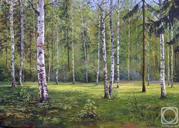 Жуковский Станислав лес Берёзовая роща