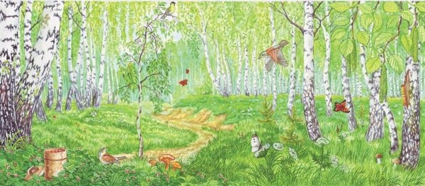 Летний лес рисунок