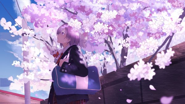 Аниме герлз Сакура