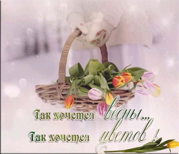 Хочется весны