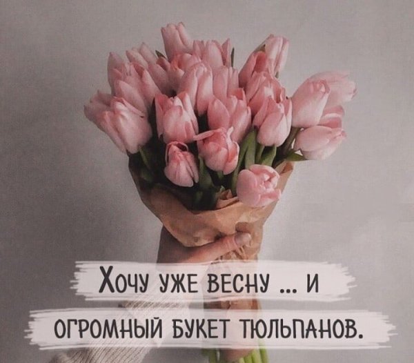 Хочу весну и букет тюльпанов