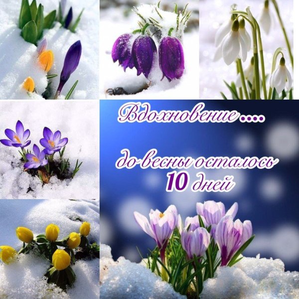 Еще немного и Весна