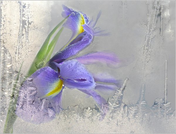 Хочется весны без болезней и войны