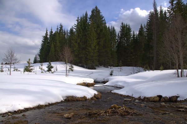 Таяние снега на рабочий стол