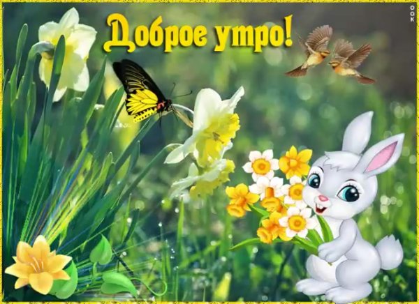 Картинки с добрым утром прикольные