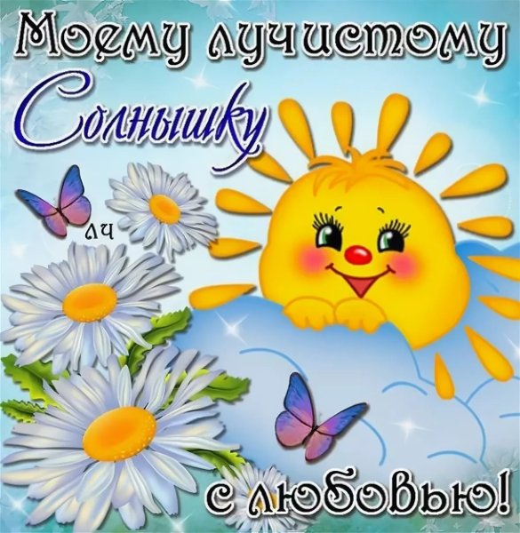 Ромашки в росе
