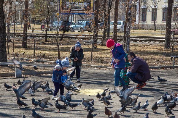 Дети в садике на прогулке
