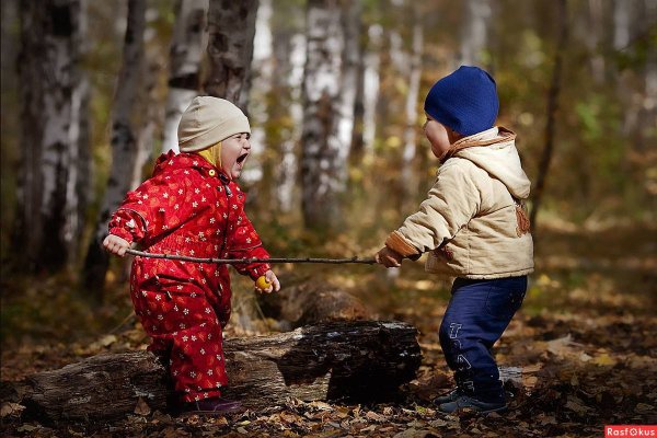 Дошкольники на прогулке