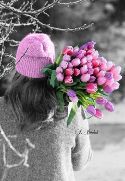 Утренняя роса