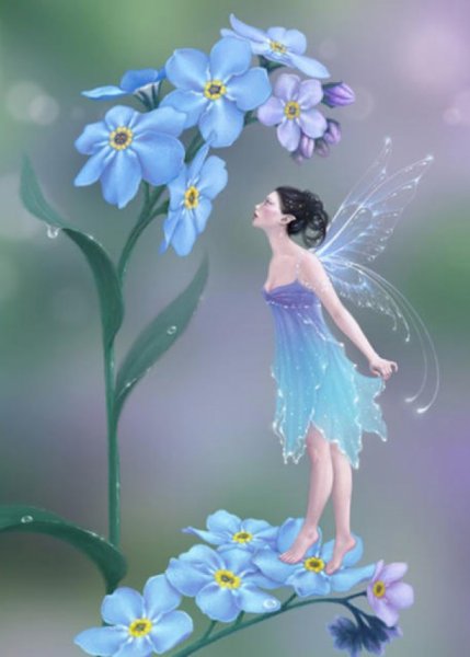 Крокус весенний