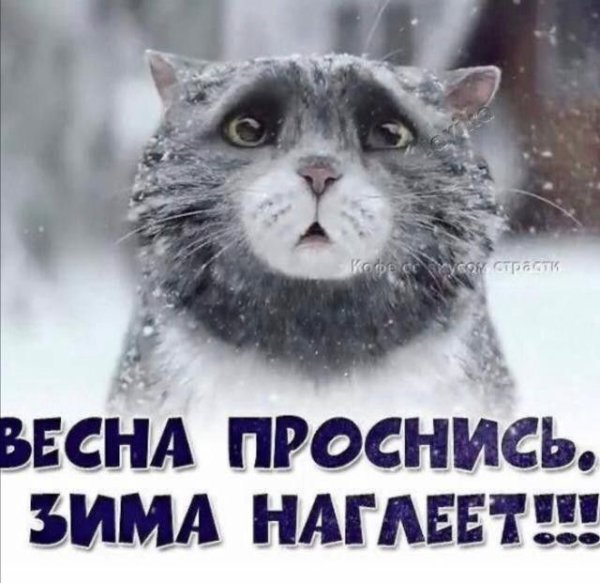 Весна Проснись зима наглеет