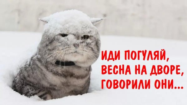 Весна Проснись зима наглеет