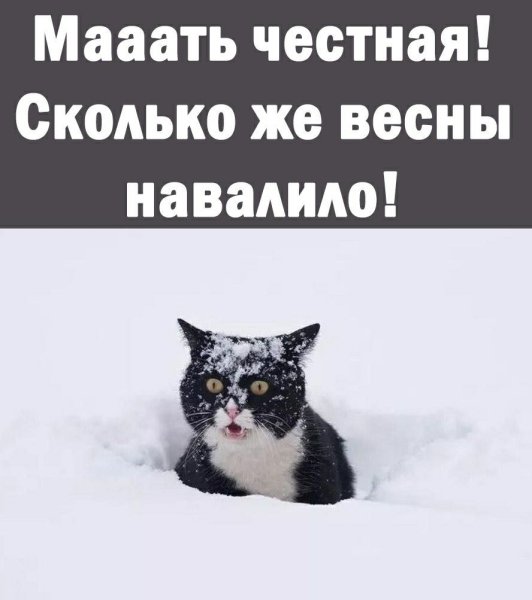 Весна ты где зима наглеет