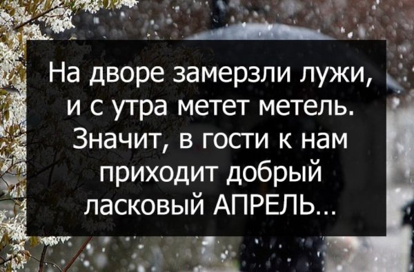 Весна заблудилась