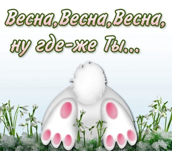 Открытки Весна заблудилась