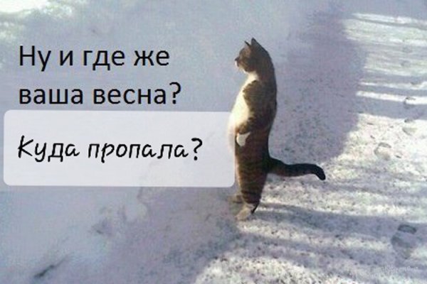 Где Весна
