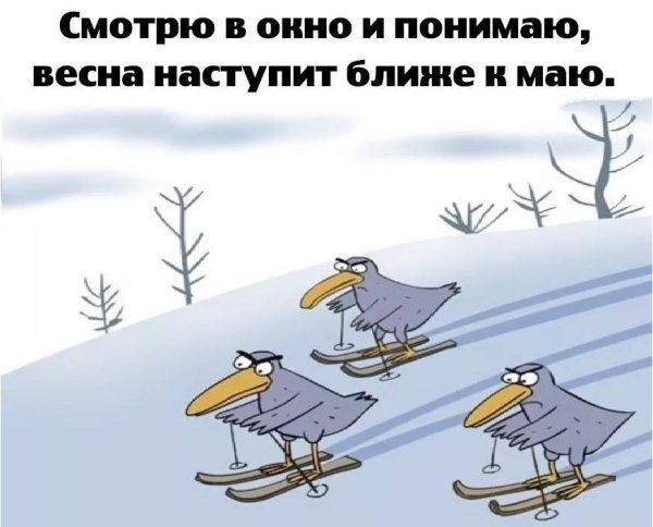 Смотрю в окно и понимаю Весна наступит