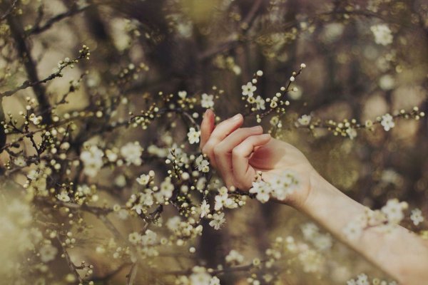 Ранняя Весна Эстетика