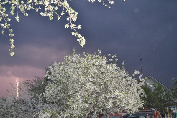 Первая гроза весной