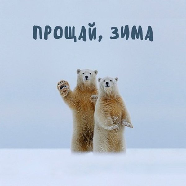 С первым днем весны 2021