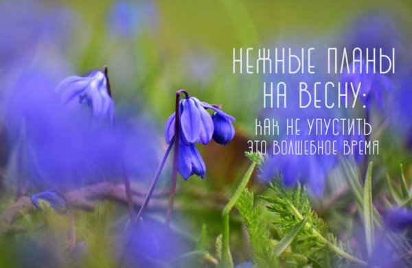 Планы на весну картинки