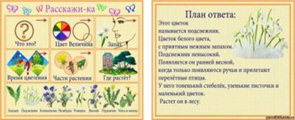 Разворот планы на лето