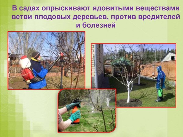 Труд людей весной в огороде