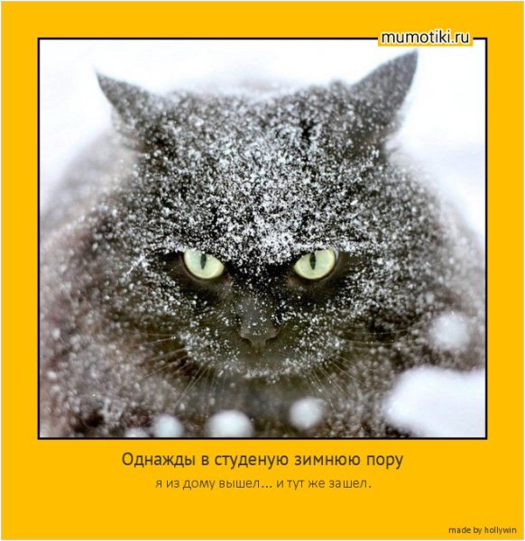 Снег в апреле приколы