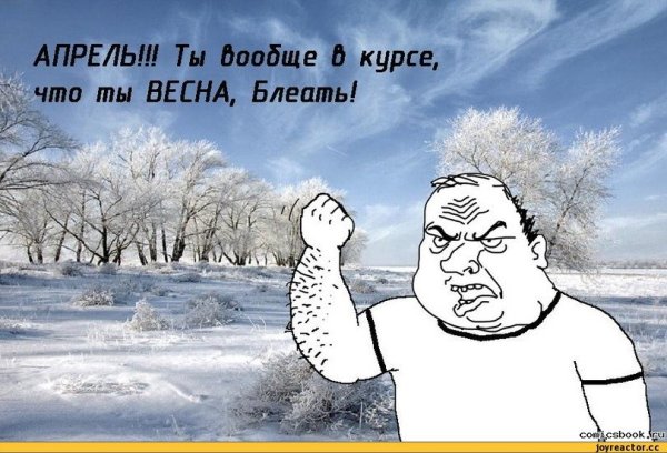 Шутки про снежную весну