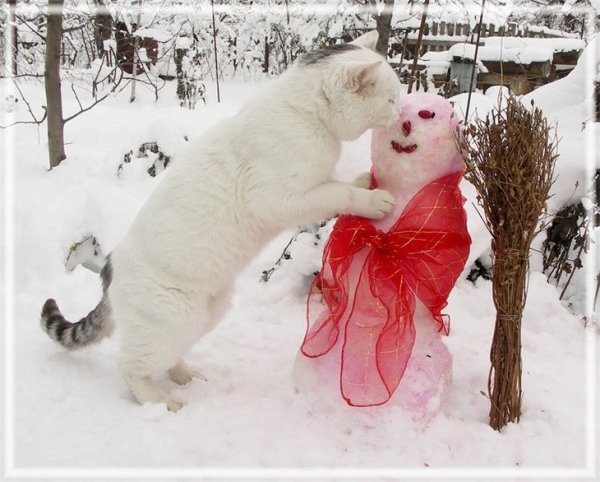 Думали Весна херушки