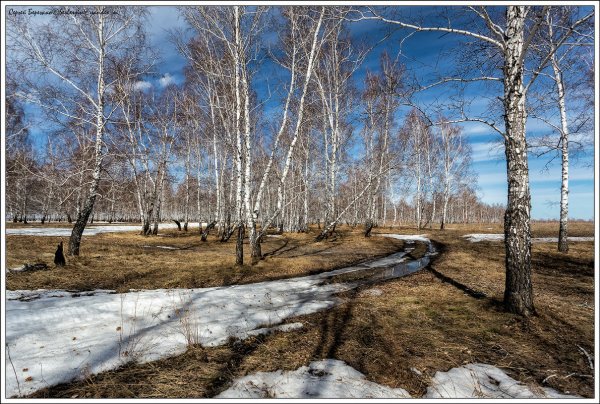 Ранняя Весна в Сибири