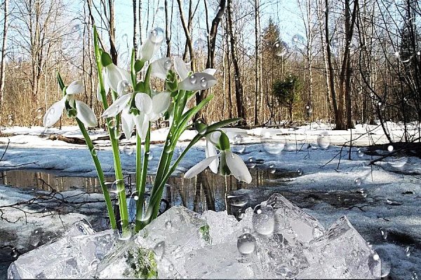 Апрель природа