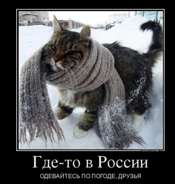 Анекдоты про весну