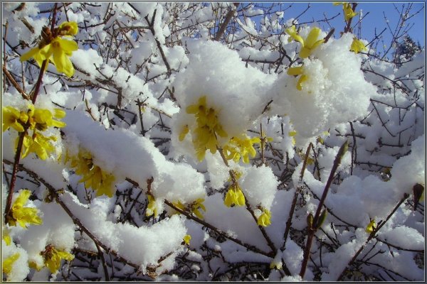 Природа Весна апрель