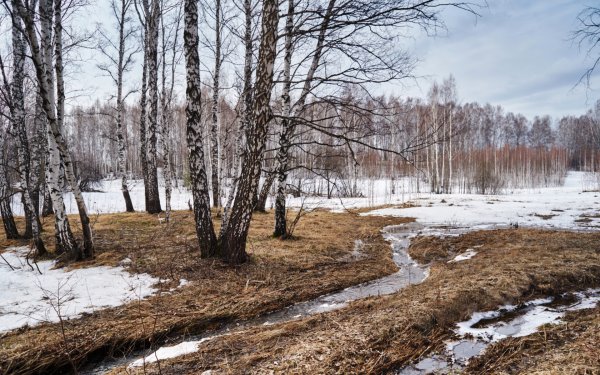 Ранняя Весна в Белоруссии