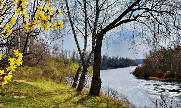 Весенняя природа в городе