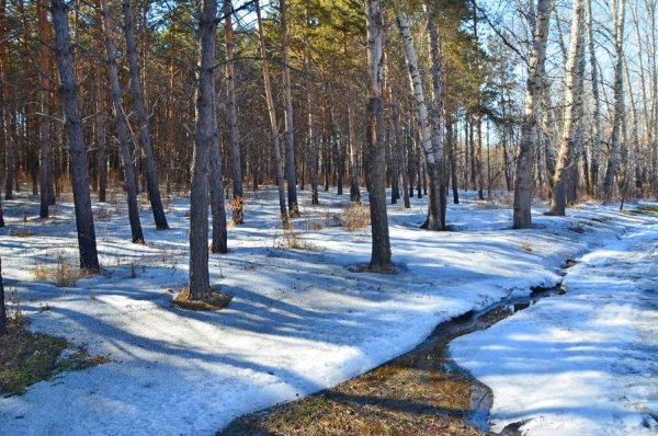 Апрель Подснежник