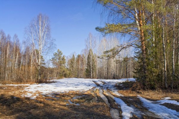 Ранняя Весна природа