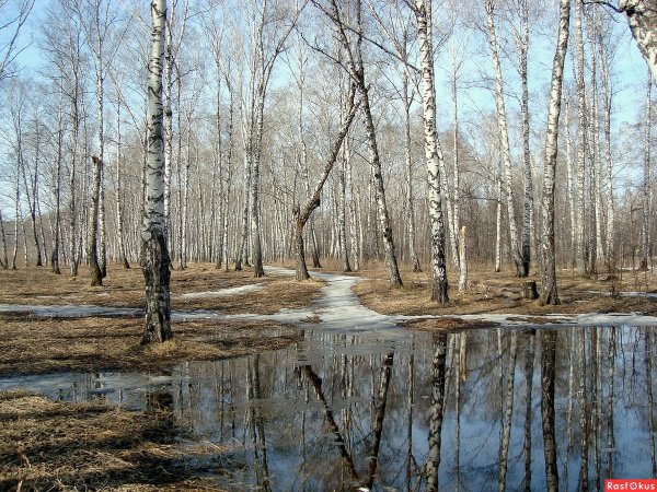 Наступила ранняя Весна