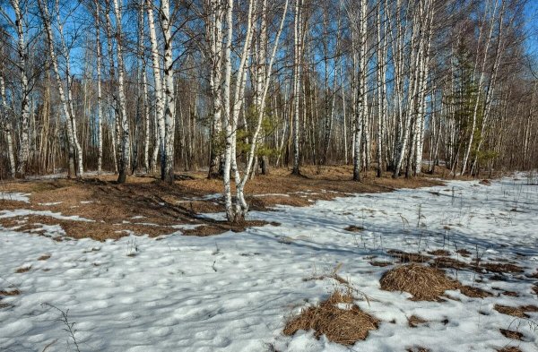 Река (ранняя Весна) Исаак