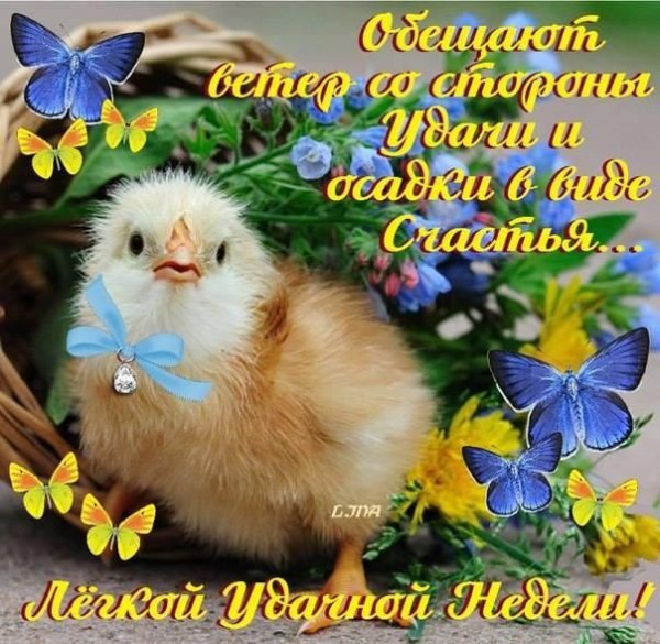 Хорошей недели Весна