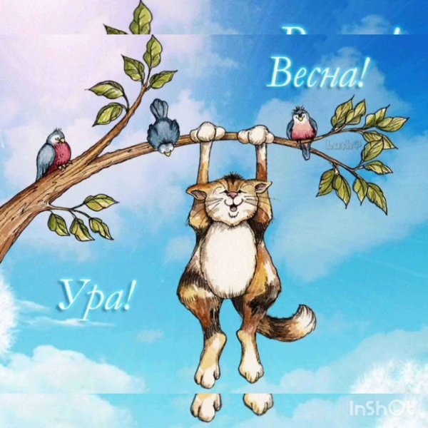 С весной прикольные