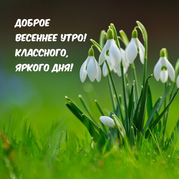 Апрель фон