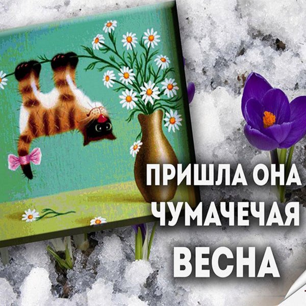 Открытки с весной прикольные