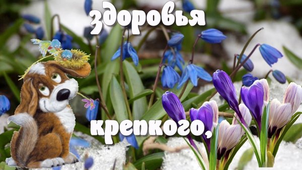 С добрым весенним утром прикольные