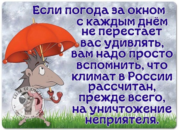 Хорошего дня несмотря на погоду